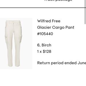 Aritzia Wilfred free glacier cargo pants
